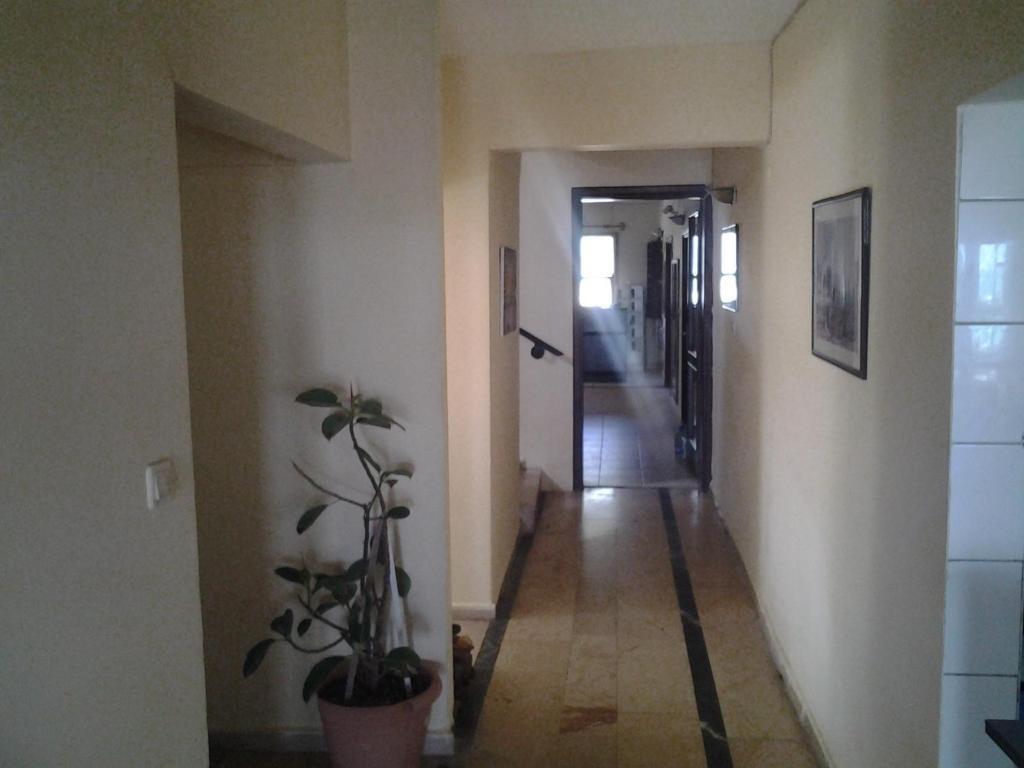 Guven Hotel Alanya Exterior photo